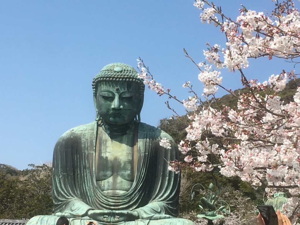 2019JapanSpringIMG_3086